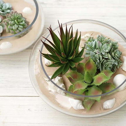 Creating a succulent arrangement that's uniquely yours