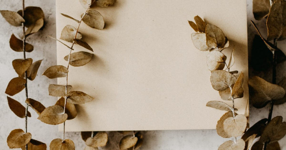 What Is The Best Artificial Ivy?