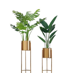 Floral Planters & Supplies