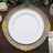 10 Pack | 10inch White / Silver Beaded Rim Plastic Dinner Plates, Disposable Round Party Plates