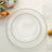 10 Pack Plastic Dessert Appetizer Plates in Clear with Silver Beaded Rim, Disposable Round Salad Party Plates 8"