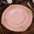 10 Pack Plastic Dessert Salad Plates In Vintage Dusty Rose, Gold Leaf Embossed Baroque Disposable