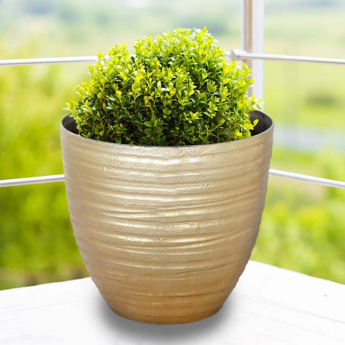 Metallic Gold 12 Inch Indoor Flower Pot