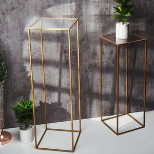 2-Pack Clear Acrylic Plexiglass Sheets 3mm Thick Top Plates 12" Square - Protective Film Coating