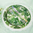 7 Inch Tropical Palm Leaf Mix Disposable Dessert Salad Paper Plates 25 Pack 300 GSM
