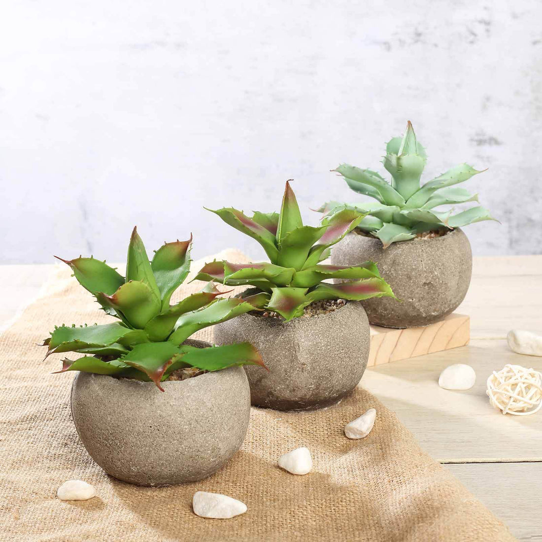 3 Pack | 5inches Ceramic Planter Pot & Artificial Aloe Succulent Plants