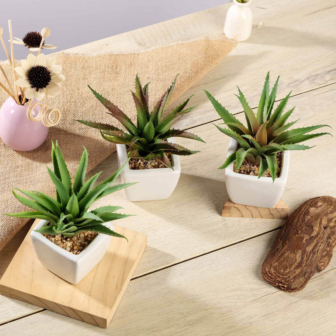 3 Pack | 5inches Ceramic Planter Pot & Artificial Spot Aloe Succulent Plant