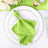 5 Pack | Apple Green Seamless Cloth Dinner Napkins, Wrinkle Resistant Linen | 17inchx17inch