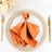 5 Pack | Orange Seamless Cloth Dinner Napkins, Wrinkle Resistant Linen | 17inchx17inch