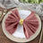 Dusty Rose Premium 20 Inch x 20 Inch Sheen Finish Velvet Cloth Dinner Napkins 5 Pack