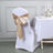 Pack Of 5 Nude Satin Chair Sashes 