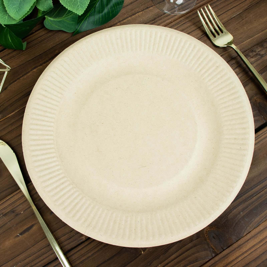 Natural Color Biodegradable Dinner Plates 10 Inch 50 Pack Bagasse Material Ribbed Rim Style
