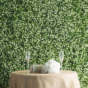 White Tip Green Boxwood Hedge Garden Wall Backdrop Mat 4 Artificial Panels 11 Sq ft.