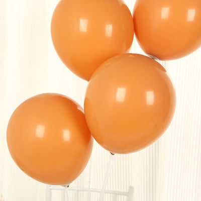 50 Pack Matte Pastel Caramel Biodegradable Balloons, Round Eco-friendly Thick Latex Party Balloons - 12"