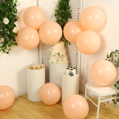 10 Pack Matte Pastel Blush Biodegradable Balloons, Round Eco-friendly Thick Latex Party Balloons - 18"
