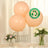 10 Pack Matte Pastel Blush Biodegradable Balloons, Round Eco-friendly
