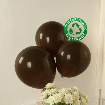 10 Pack Matte Pastel Cinnamon Brown Biodegradable Balloons, Round Eco-friendly Thick Latex Party Balloons - 18"