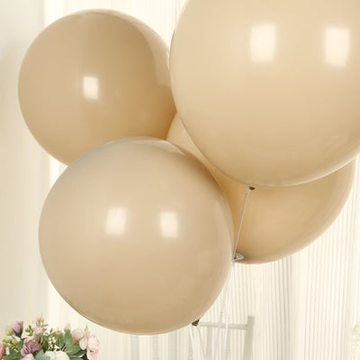 10 Pack Matte Pastel Taupe Biodegradable Balloons, Round Eco-friendly Thick Latex Party Balloons - 18"