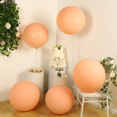 5 Pack Large Matte Pastel Blush Biodegradable Balloons, Round Eco-friendly Thickened Latex Party Balloons - 36"
