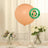 5 Pack Large Matte Pastel Blush Biodegradable Balloons, Round Eco-friendly