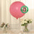 5 Pack Large Matte Pastel Pink Biodegradable Balloons, Round Eco-friendly