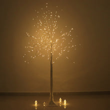 Warm White Lighted Birch Tree 350 LED Fairy Lights with Remote Timer