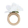 Rustic jasmine flower