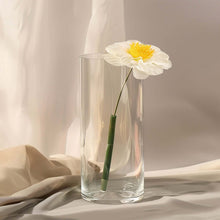 Clear Heavy Duty Glass Tall 10 Inch Cylinder Vases Set Of 12 Round