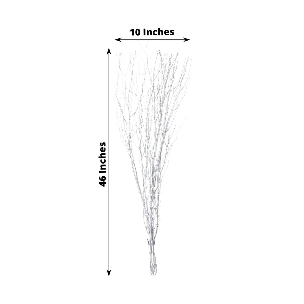 Silver Birch Tree Branches 6-Pack | eFavormart.com