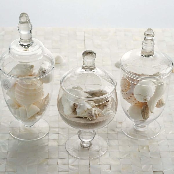 Set of 3 | Clear Glass Apothecary Party Favor Candy Jars With Snap On Lids