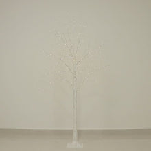 Warm White Lighted Birch Tree 350 LED Fairy Lights with Remote Timer