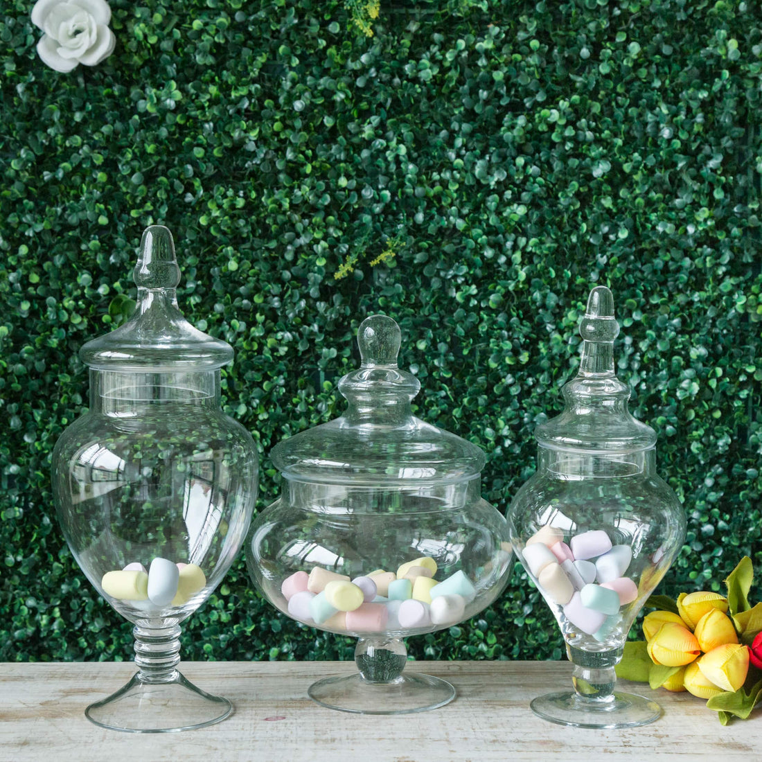 Set of 3 | Clear Glass Pedestal Apothecary Party Favor Candy Jars With Snap On Lids