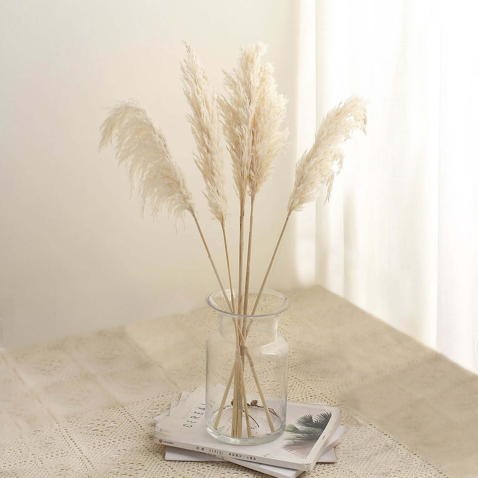 BalsaCircle Wheat 6 Sprays Stems 32 Natural Pampas Grass Dried Plant  Wedding Party Decorations 