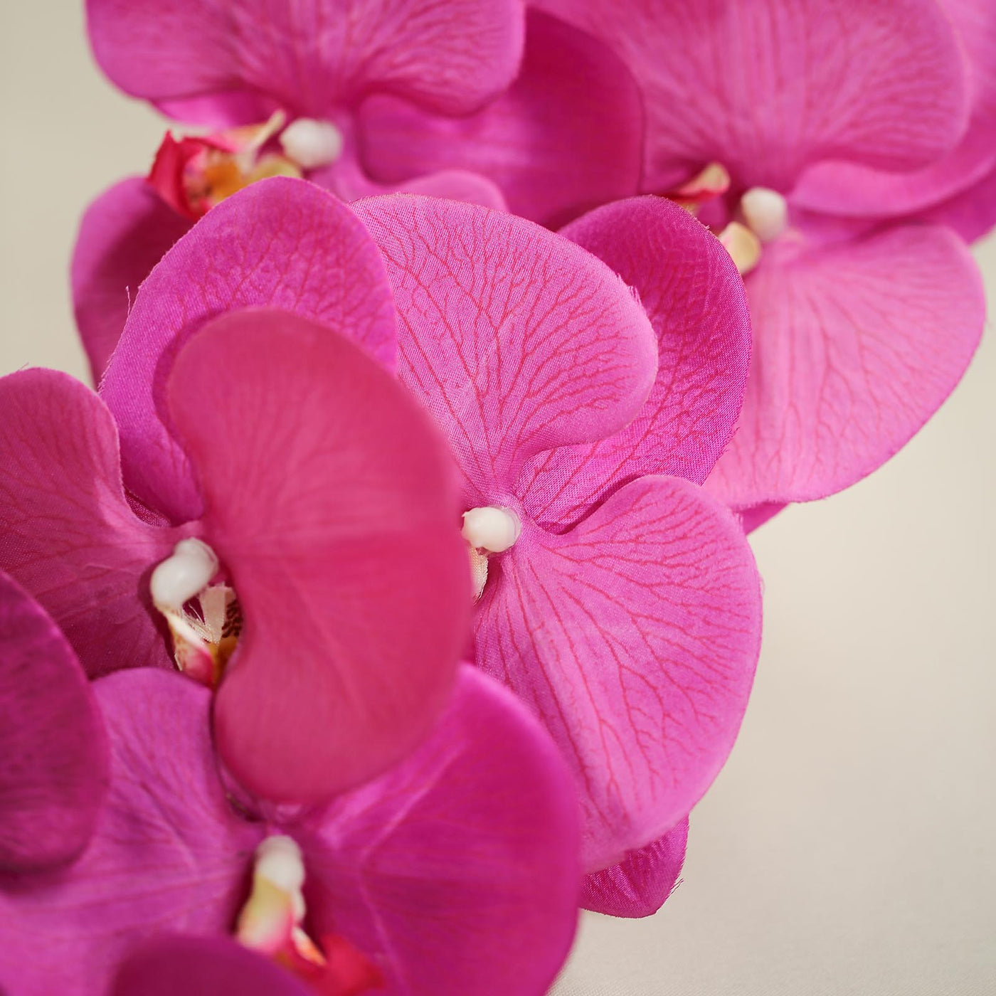 40 Tall Fuchsia Silk Orchid Stems 8786