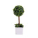 Boxwood topiary