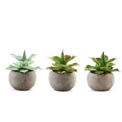 3-Pack Aloe Artificial Succulents in Ceramic Pot 5" - Realistic Maintenance-Free Faux Plants for Bathroom Coffee Table Shelves & Desk