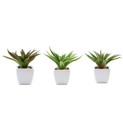 3-Pack Spotted Aloe Vera Artificial Succulents in Ceramic Pot 5" - Realistic Maintenance-Free Faux Plants for Bathroom Coffee Table Shelves & Desk