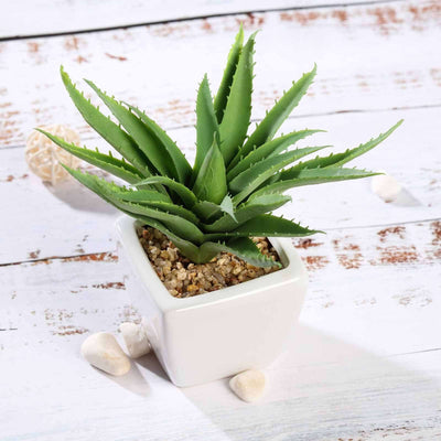 3-Pack Spotted Aloe Vera Artificial Succulents in Ceramic Pot 5" - Realistic Maintenance-Free Faux Plants for Bathroom Coffee Table Shelves & Desk