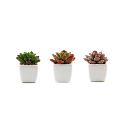 3-Pack Echeveria Elegans Artificial Succulents in Ceramic Pot 3" - Realistic Maintenance-Free Faux Plants for Bathroom Coffee Table Shelves & Desk