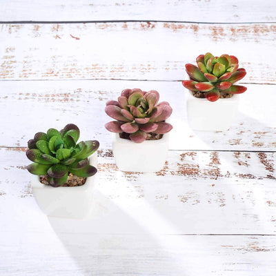3-Pack Echeveria Elegans Artificial Succulents in Ceramic Pot 3" - Realistic Maintenance-Free Faux Plants for Bathroom Coffee Table Shelves & Desk