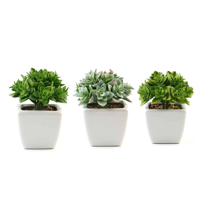 3-Pack Echeveria Artificial Succulents in Ceramic Pot 4" Green - Realistic Maintenance-Free Faux Plants for Bathroom Coffee Table Shelves & Desk
