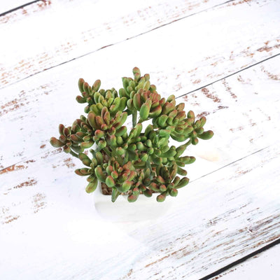 3-Pack Stonecrop Artificial Succulents in Ceramic Pots 7" - Realistic Maintenance-Free Faux Plants for Bathroom Coffee Table Shelves & Desk