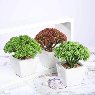 3-Pack Joy Sedum Artificial Succulents in Ceramic Pots 6" - Realistic Maintenance-Free Faux Plants for Bathroom Coffee Table Shelves & Desk