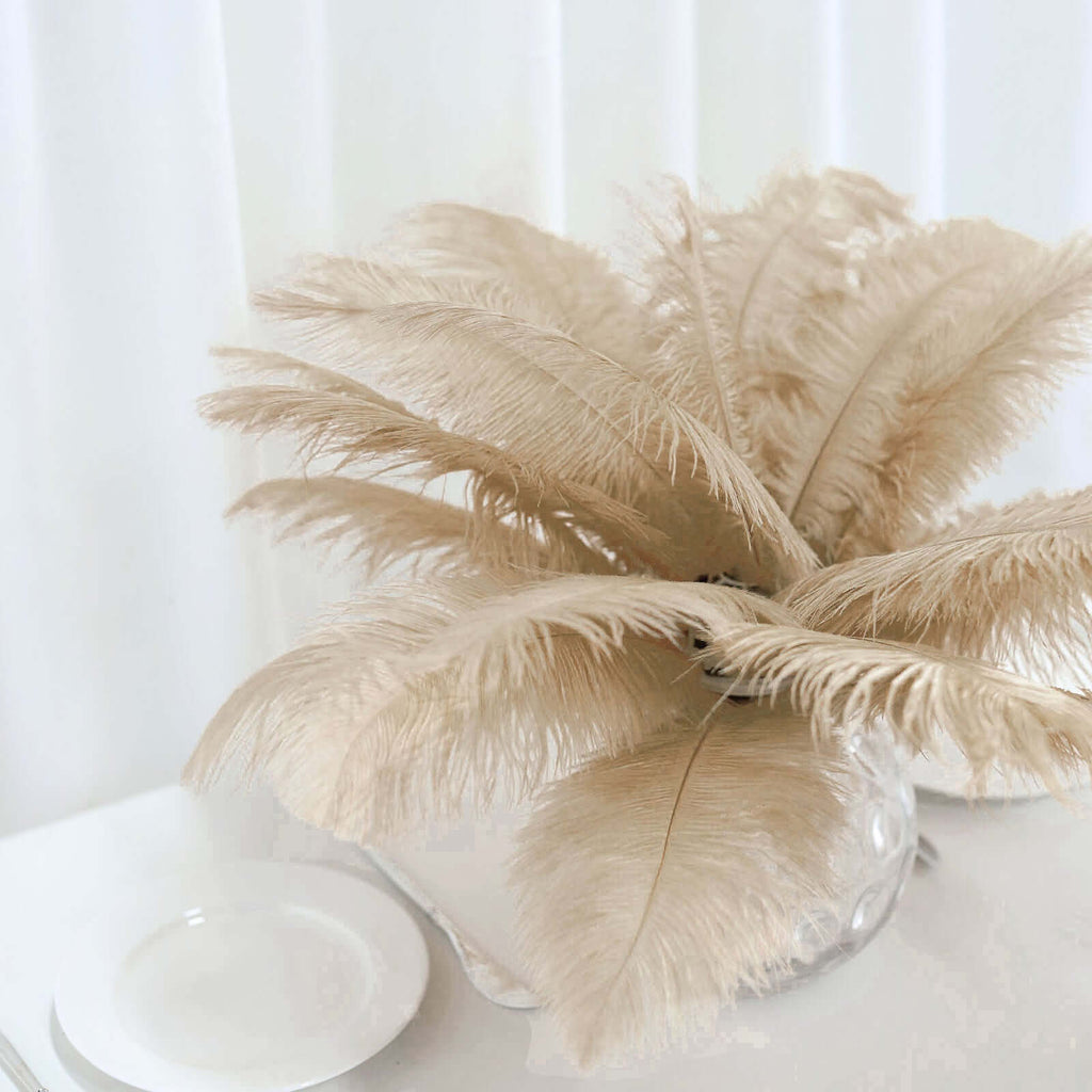 12 Pcs | Real Ostrich Feather Fringe Trim With Satin Ribbon Tape ...