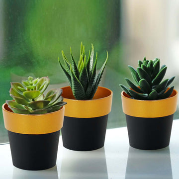 3 Pack Black Gold Rimmed Small Flower Plant Pots, Indoor Decorative Planters 3"