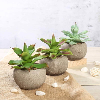 3-Pack Aloe Artificial Succulents in Ceramic Pot 5" - Realistic Maintenance-Free Faux Plants for Bathroom Coffee Table Shelves & Desk
