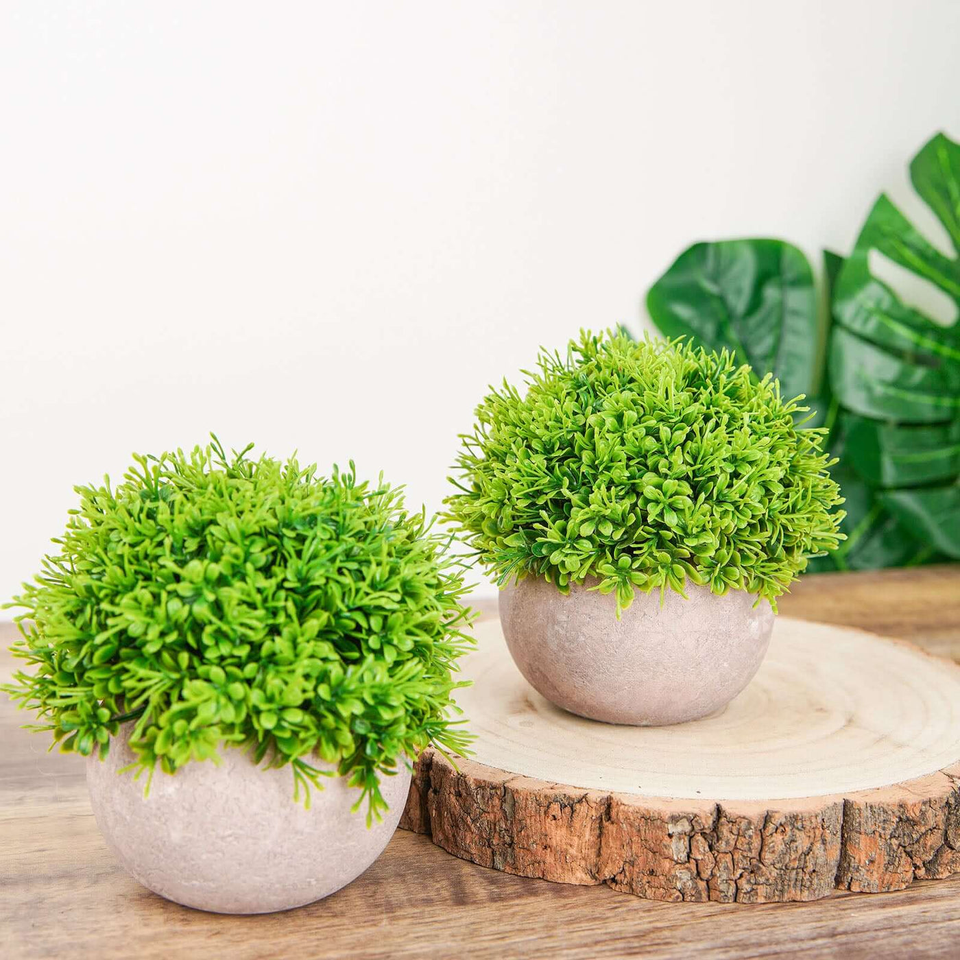 2 Set Mini Artificial Boxwood Topiary | eFavormart.com