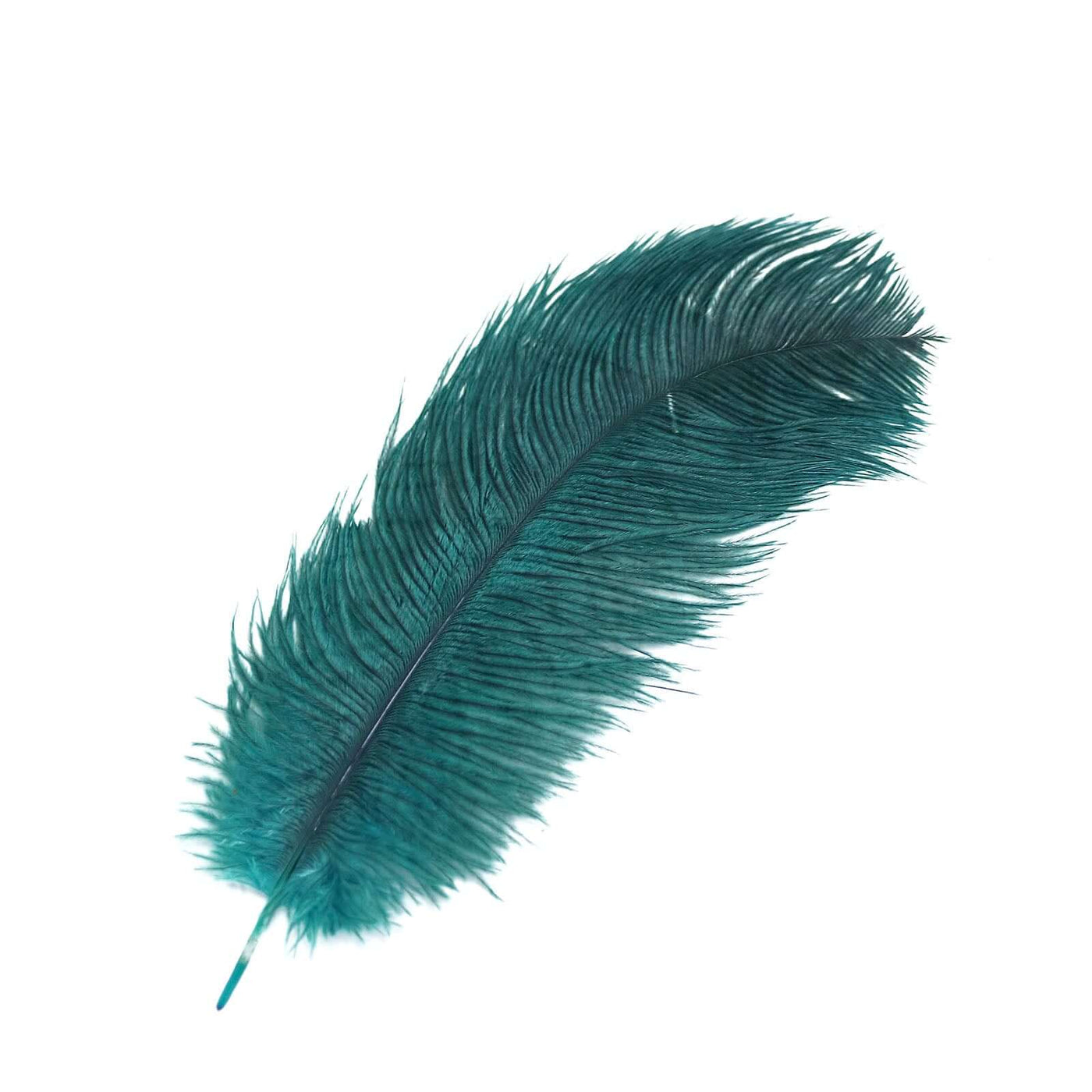 12-Pack Peacock Teal Ostrich Feathers | eFavormart.com