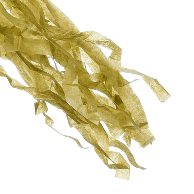 12 Pack Pre-Tied Gold Paper Fringe Tassels With Garland String, Hanging Streamer Banner