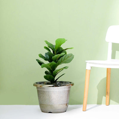 Silver Chrome Finished Rim Large Barrel Planter Pot, Indoor/Outdoor Decorative Flower Pot 14"